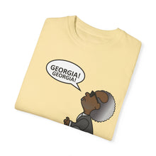 Load image into Gallery viewer, Ray Charles Schulz