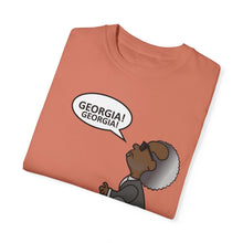 Load image into Gallery viewer, Ray Charles Schulz