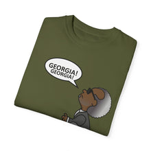 Load image into Gallery viewer, Ray Charles Schulz