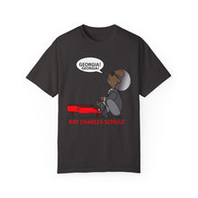 Load image into Gallery viewer, Ray Charles Schulz