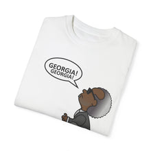 Load image into Gallery viewer, Ray Charles Schulz