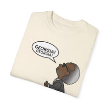 Load image into Gallery viewer, Ray Charles Schulz