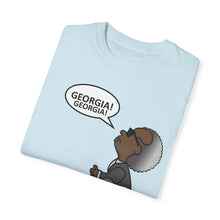 Load image into Gallery viewer, Ray Charles Schulz