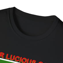 Load image into Gallery viewer, SIR LUCIOUS MENS XL