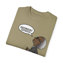 Load image into Gallery viewer, Ray Charles Schulz