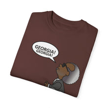 Load image into Gallery viewer, Ray Charles Schulz