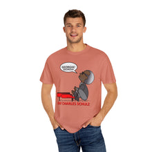 Load image into Gallery viewer, Ray Charles Schulz