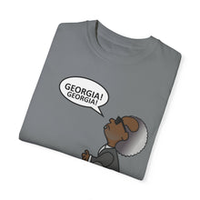 Load image into Gallery viewer, Ray Charles Schulz