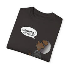 Load image into Gallery viewer, Ray Charles Schulz