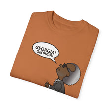 Load image into Gallery viewer, Ray Charles Schulz